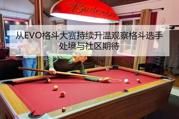 从EVO格斗大赛持续升温观察格斗选手处境与社区期待 - leyu